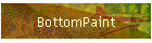 BottomPaint